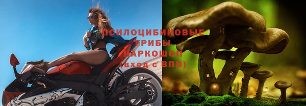 MESCALINE Алзамай